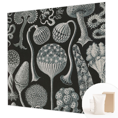Fotobehang woonkamer met motief van magische planten