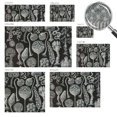 Fotobehang woonkamer Magische planten