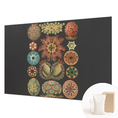 Vliesbehang fotobehang met een zee‑inspira­tieontwerp
