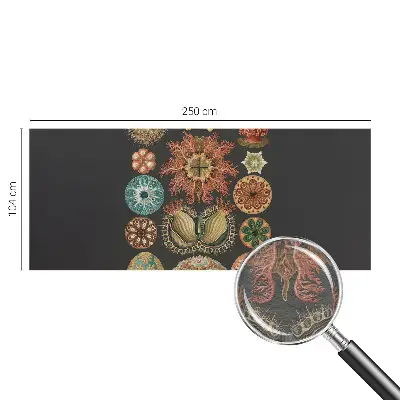 Vliesbehang fotobehang met een zee‑inspira­tieontwerp