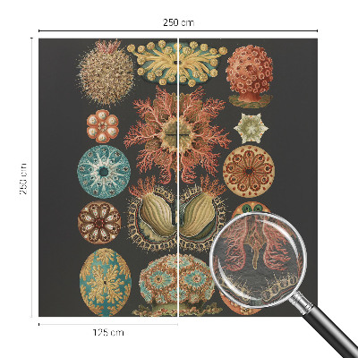 Vliesbehang fotobehang Inspiratie uit de zee