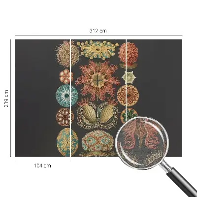 Vliesbehang fotobehang met een zee‑inspira­tieontwerp