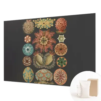 Vliesbehang fotobehang met een zee‑inspira­tieontwerp