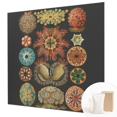 Vliesbehang fotobehang Inspiratie uit de zee