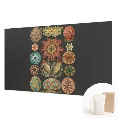Vliesbehang fotobehang met een zee‑inspira­tieontwerp