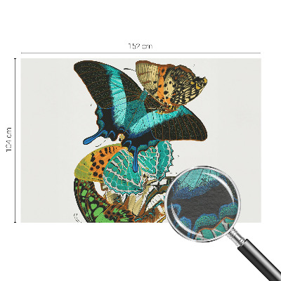 Fotobehang voor de woonkamer Kleurrijke vlinders