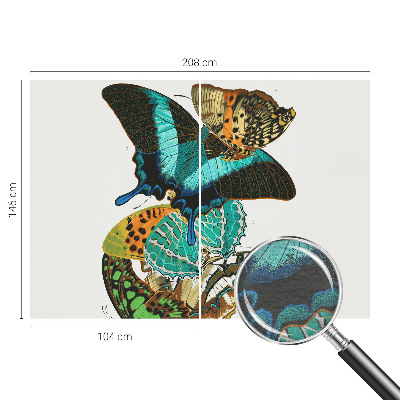 Fotobehang voor de woonkamer Kleurrijke vlinders