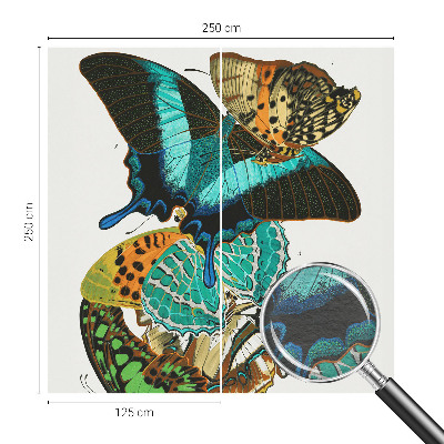 Fotobehang voor de woonkamer Kleurrijke vlinders