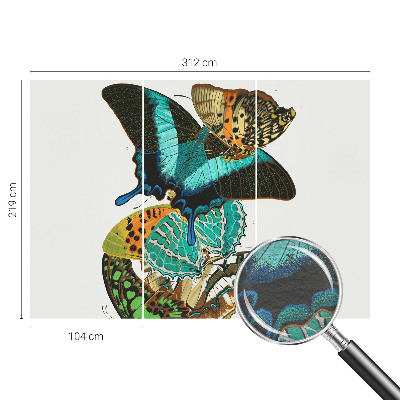 Fotobehang voor de woonkamer Kleurrijke vlinders