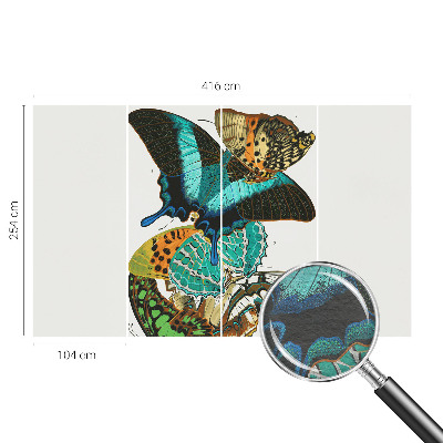 Fotobehang voor de woonkamer Kleurrijke vlinders