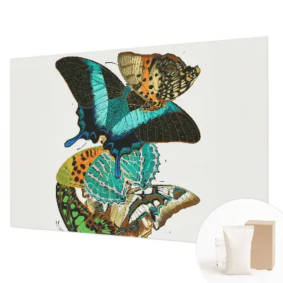 Fotobehang voor de woonkamer met kleurrijke vlinders