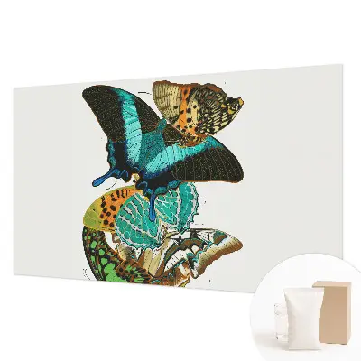 Fotobehang voor de woonkamer met kleurrijke vlinders