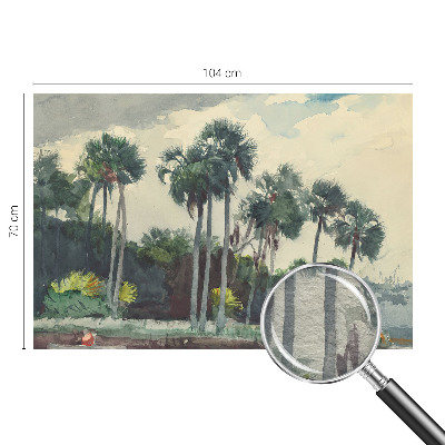 Premium fotobehang met een exotisch palmbomenmotief