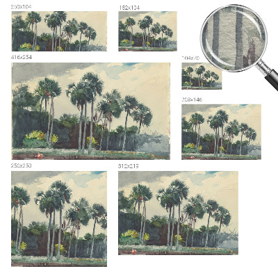 Premium fotobehang Exotische palmbomen