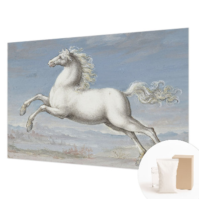 Kwalitatief fotobehang met een paardenhindernis-motief