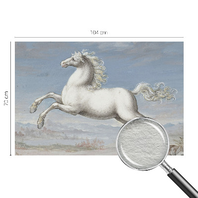 Kwalitatief fotobehang Paarden in de hindernis