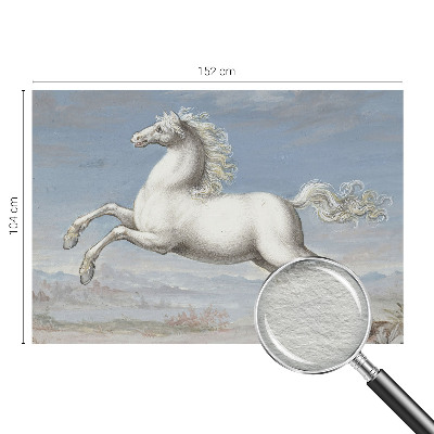 Kwalitatief fotobehang Paarden in de hindernis