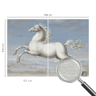 Kwalitatief fotobehang Paarden in de hindernis