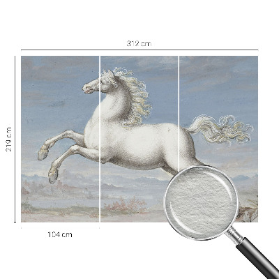 Kwalitatief fotobehang met een paardenhindernis-motief