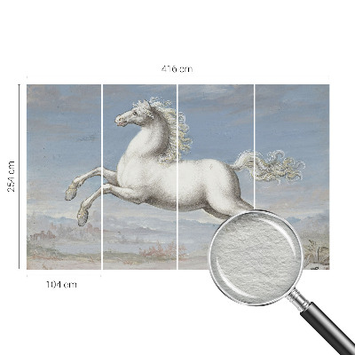 Kwalitatief fotobehang met een paardenhindernis-motief