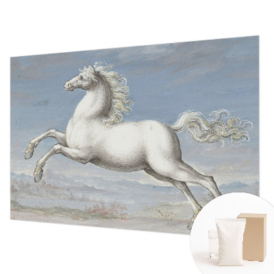 Kwalitatief fotobehang met een paardenhindernis-motief