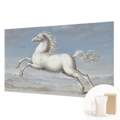 Kwalitatief fotobehang met een paardenhindernis-motief