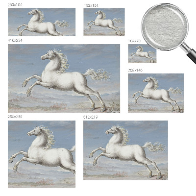 Kwalitatief fotobehang Paarden in de hindernis