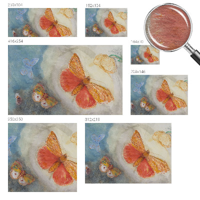 Vlies fotobehang Kleurrijke vlinders