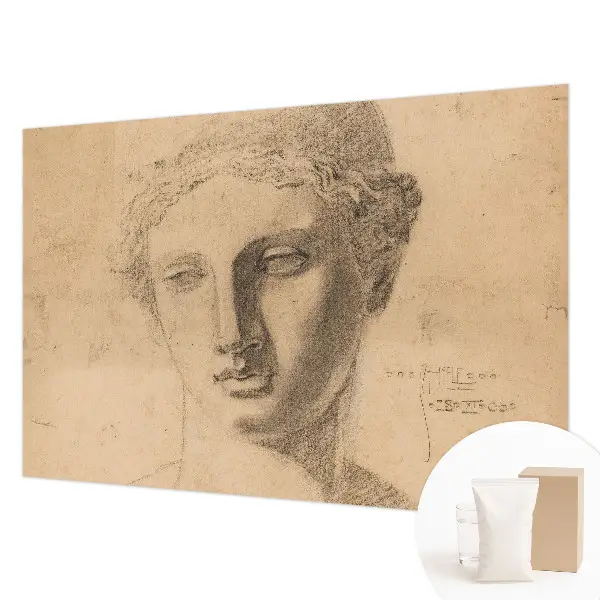 Muur behang met vrouwenportret