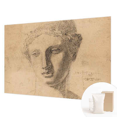Muur behang met vrouwenportret