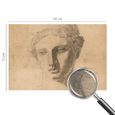 Muur behang met vrouwenportret