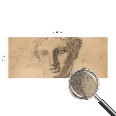 Muur behang met vrouwenportret