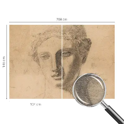 Muur behang met vrouwenportret