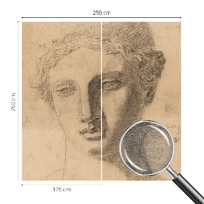 Muur behang met vrouwenportret