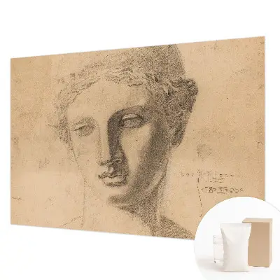 Muur behang met vrouwenportret