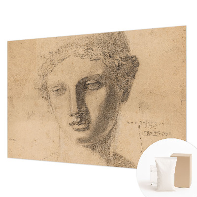 Muur behang Vrouwenportret