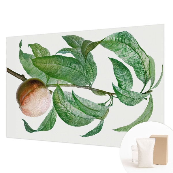 Modern fotobehang voor de woonkamer met een rijpe perzik als motief