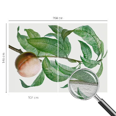 Modern fotobehang voor de woonkamer Rijpe perzik