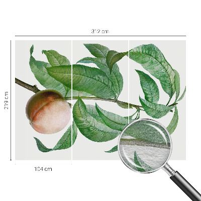 Modern fotobehang voor de woonkamer Rijpe perzik