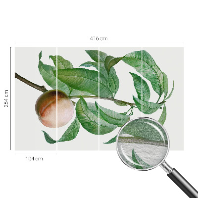Modern fotobehang voor de woonkamer met een rijpe perzik als motief