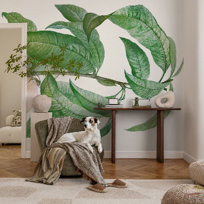 Modern fotobehang voor de woonkamer Rijpe perzik