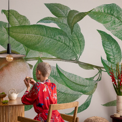 Modern fotobehang voor de woonkamer Rijpe perzik