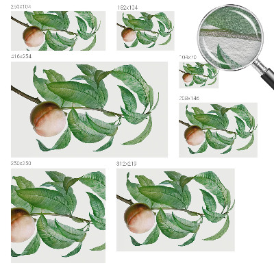 Modern fotobehang voor de woonkamer Rijpe perzik