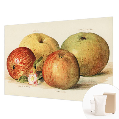 Behang met print met een print van appelbloesems