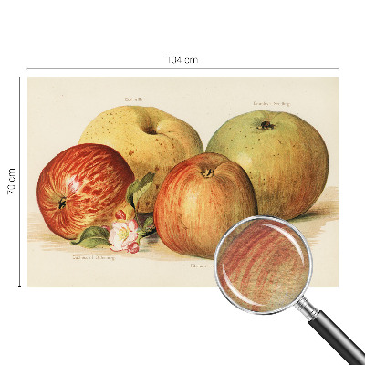 Behang met print met een print van appelbloesems