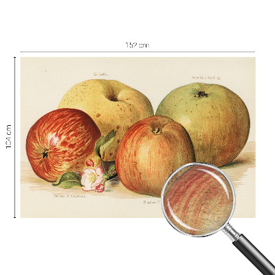 Behang met print met een print van appelbloesems