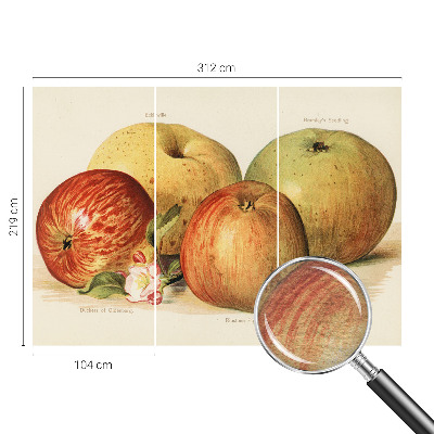 Behang met print met een print van appelbloesems