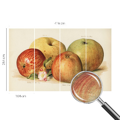 Behang met print met een print van appelbloesems