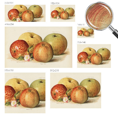 Behang met print met een print van appelbloesems