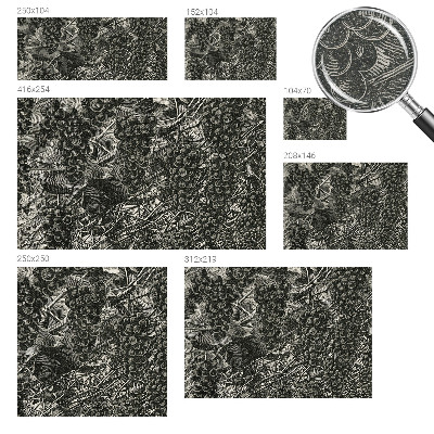 Muur behang Druivenafdruk